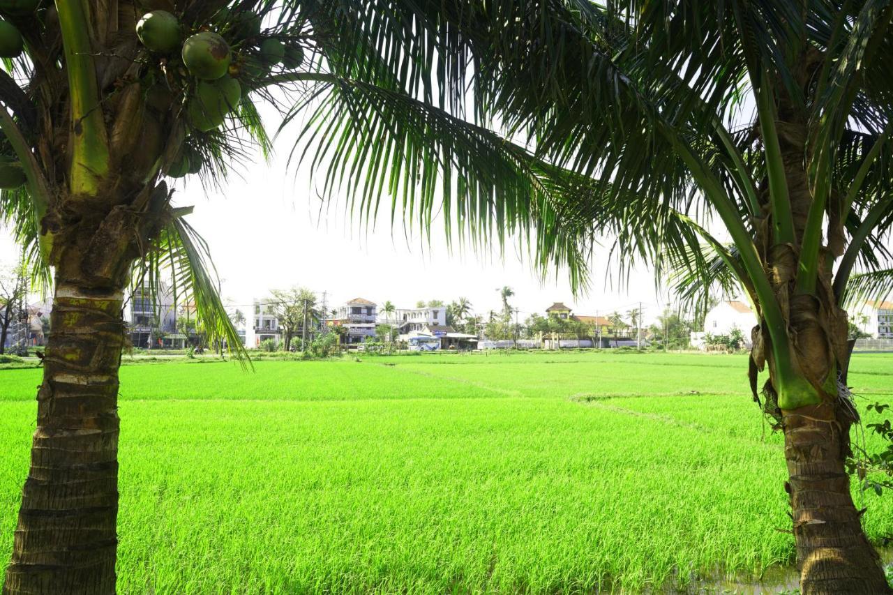 Hoang Y Homestay Hoi An Zewnętrze zdjęcie